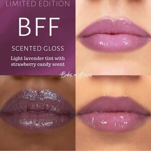 LipSense by SeneGence. Shade: BFF, MIDI Size, NWT